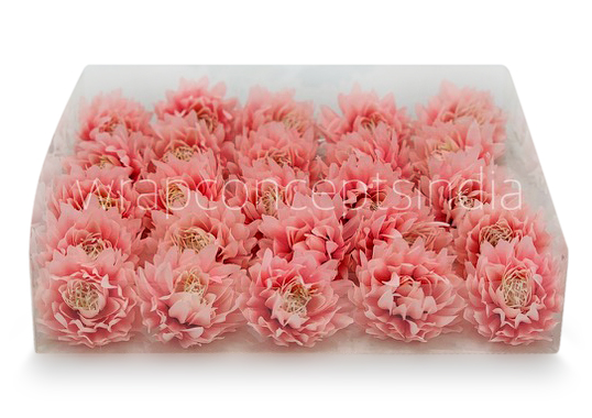 Rose Quartz Water Lily Rose Quartz Water Lily
