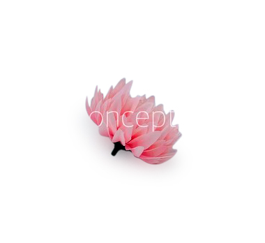Rose Quartz Water Lily Rose Quartz Water Lily