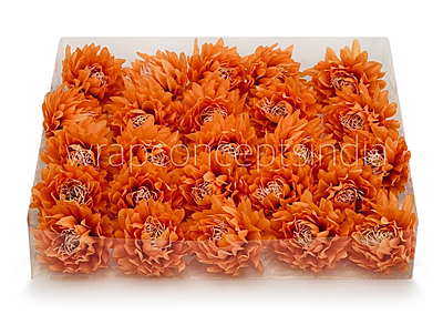Tangerine Water Lily