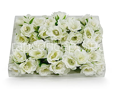 Ivory Daffodils on Stick