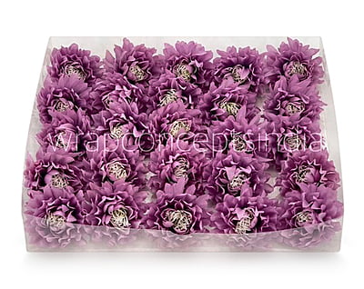 Lavender Water Lily