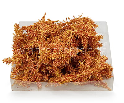 Yellow Orange Sugar Pine Leaves