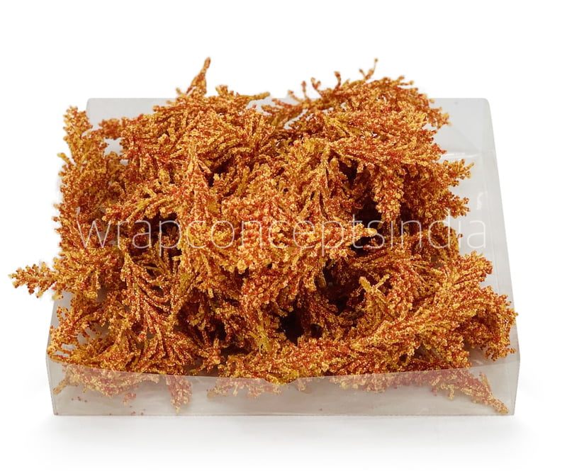 Yellow Orange Sugar Pine Leaves Yellow Orange Sugar Pine Leaves