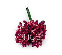 Fuchsia Pink Pollens
