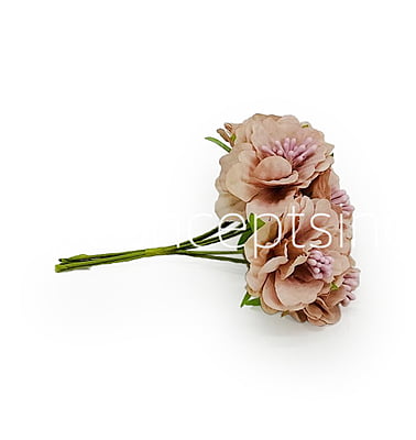 Light Salmon Windflower Light Salmon Windflower