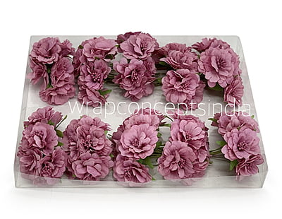 Dusky Mauve Windflower Dusky Mauve Windflower