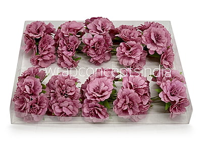 Dusky Mauve Windflower