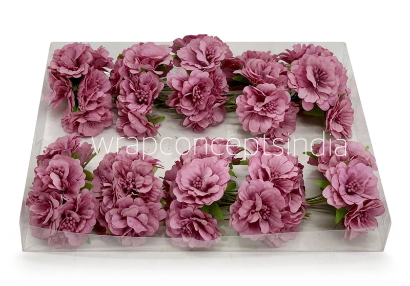 Dusky Mauve Windflower Dusky Mauve Windflower
