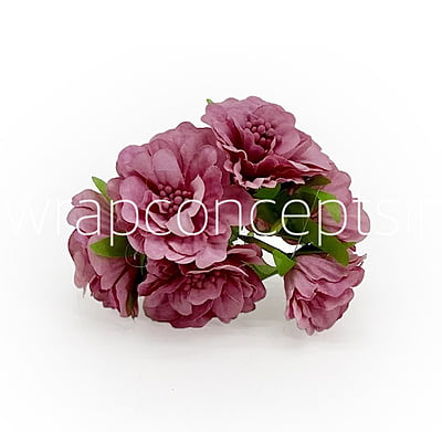 Dusky Mauve Windflower Dusky Mauve Windflower