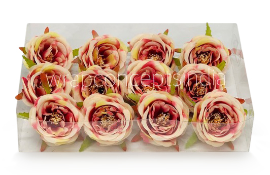 Camellia Flower - Cream with shades of Pink & Red Camellia Flower - Cream with shades of Pink & Red