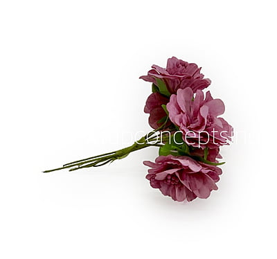 Dusky Mauve Windflower Dusky Mauve Windflower