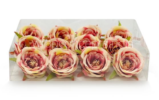 Camellia Flower - Cream with shades of Pink & Red Camellia Flower - Cream with shades of Pink & Red