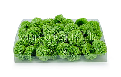 Small Carnation - Green Small Carnation - Green