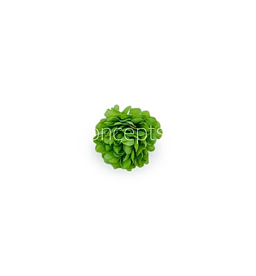 Small Carnation - Green Small Carnation - Green