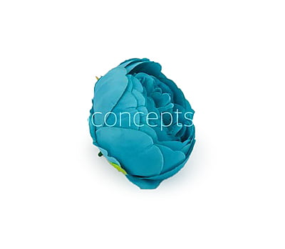 Peony-Turquoise Blue Peony