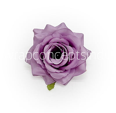 Lilac Rose Lilac Rose