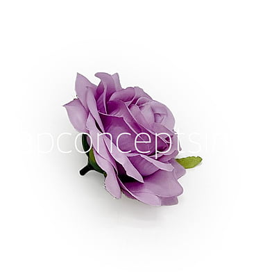 Lilac Rose Lilac Rose