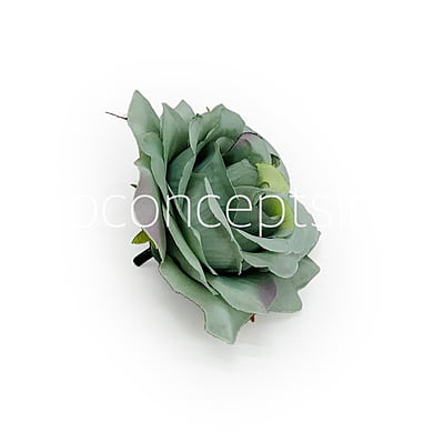Basil Rose