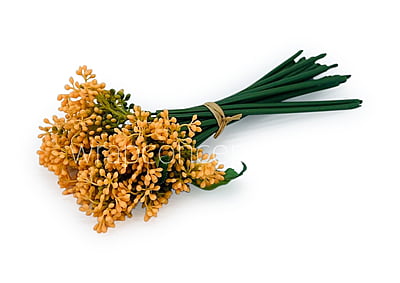 Baby Breath Floret Bunch -Mutlicolor Baby Breath Floret Bunch -Mutlicolor