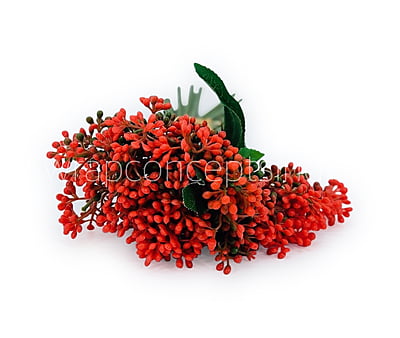 Baby Breath Floret Bunch -Mutlicolor Baby Breath Floret Bunch -Mutlicolor