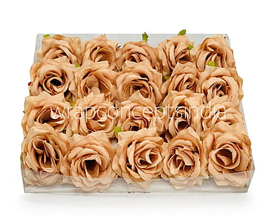 Cantaloupe Rose