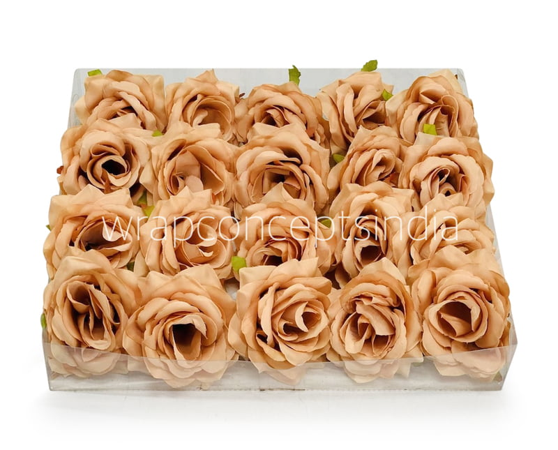 Cantaloupe Rose Cantaloupe Rose