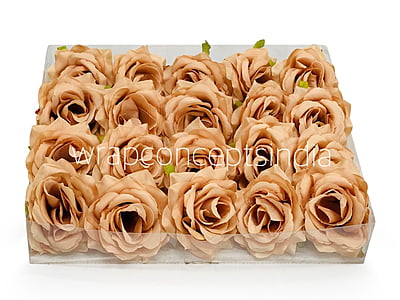 Cantaloupe Rose Cantaloupe Rose