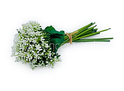 Baby Breath Floret Bunch -Mutlicolor Baby Breath Floret Bunch -Mutlicolor