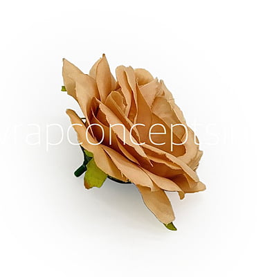 Cantaloupe Rose Cantaloupe Rose