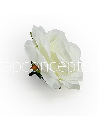Porcelain Rose Porcelain Rose