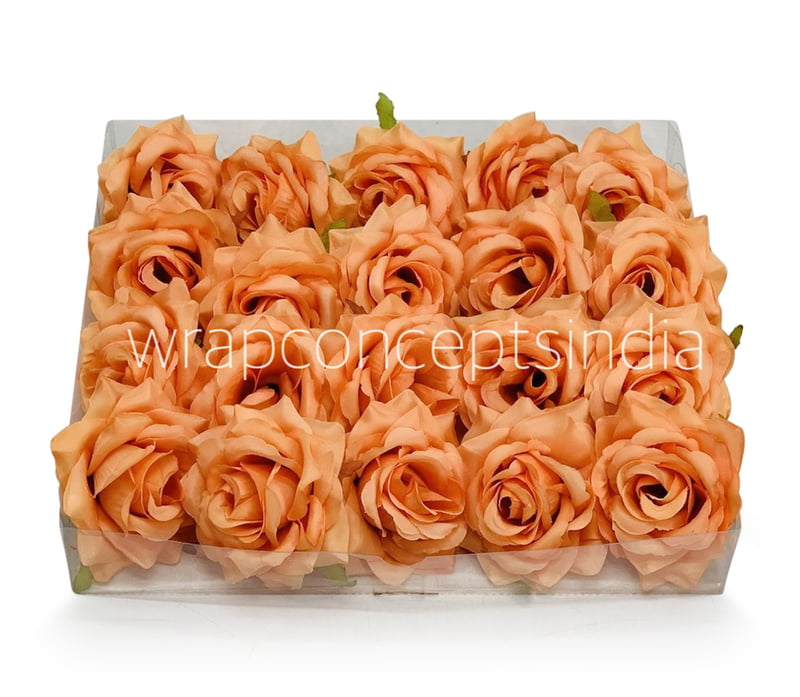 Pumpkin Rose Pumpkin Rose