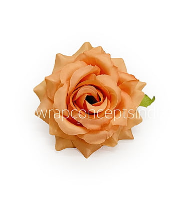 Pumpkin Rose Pumpkin Rose