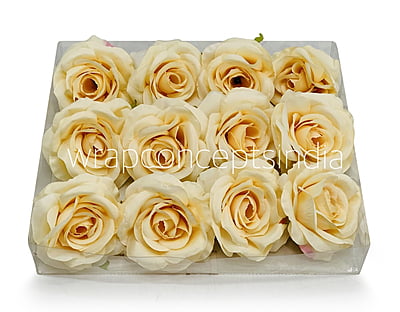 Macaroon Rose