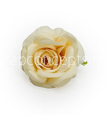 Macaroon Rose Macaroon Rose