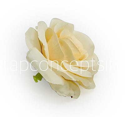 Macaroon Rose Macaroon Rose