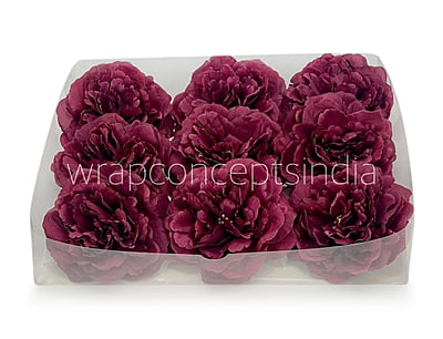 Wine Moutan Peony