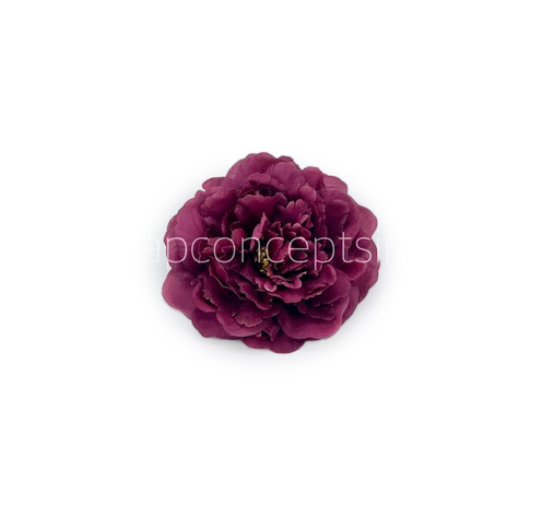 Wine Moutan Peony
