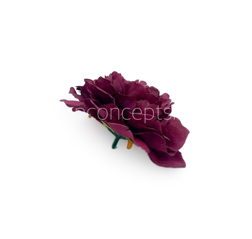 Wine Moutan Peony
