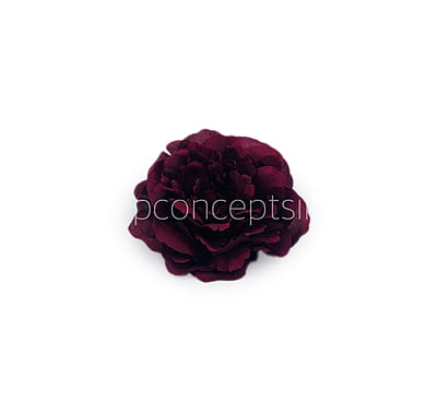 Maroon Moutan Peony Maroon Moutan Peony