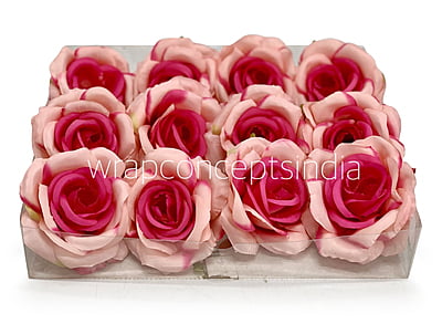 Baby & Fuchsia Pink Rose Baby & Fuchsia Pink Rose