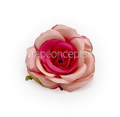 Baby & Fuchsia Pink Rose Baby & Fuchsia Pink Rose
