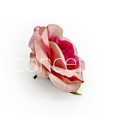 Baby & Fuchsia Pink Rose Baby & Fuchsia Pink Rose