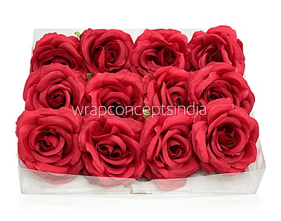 Amaranth Red Rose