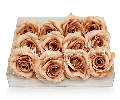 Cantaloupe Rose