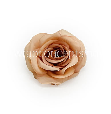 Cantaloupe Rose