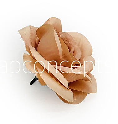 Cantaloupe Rose