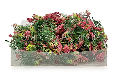Green Fern Leaves with Strawberry Edges Green Fern Leaves with Strawberry Edges