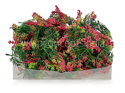 Green Fern Leaves with Strawberry Edges