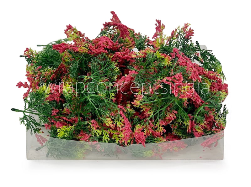 Green Fern Leaves with Strawberry Edges Green Fern Leaves with Strawberry Edges