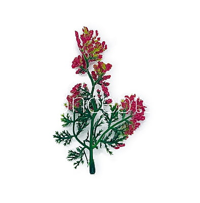 Green Fern Leaves with Strawberry Edges Green Fern Leaves with Strawberry Edges